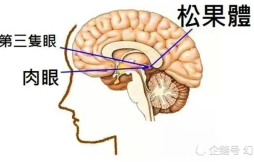 20240617222739552.png